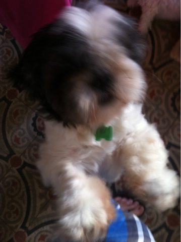 blogger-image-604032025-4318867