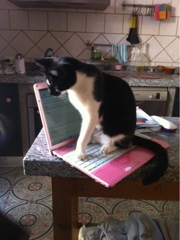 blogger-image-642333961-8451996