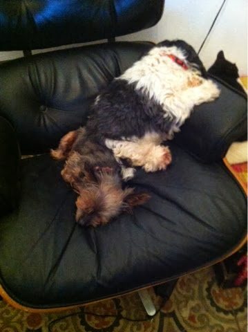 blogger-image-1912458397-3424719