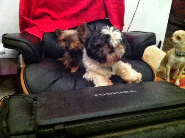 blogger-image-372055665-7556151