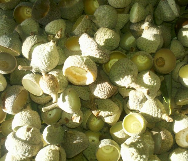 img_20131112_114502-1371750