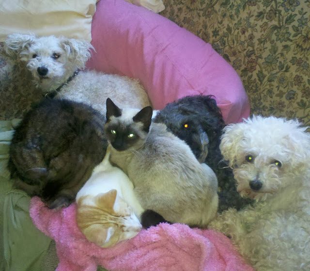 img_20131128_093455-4587391