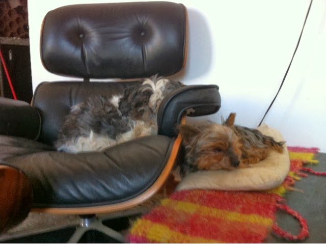 blogger-image-1069724104-7154226