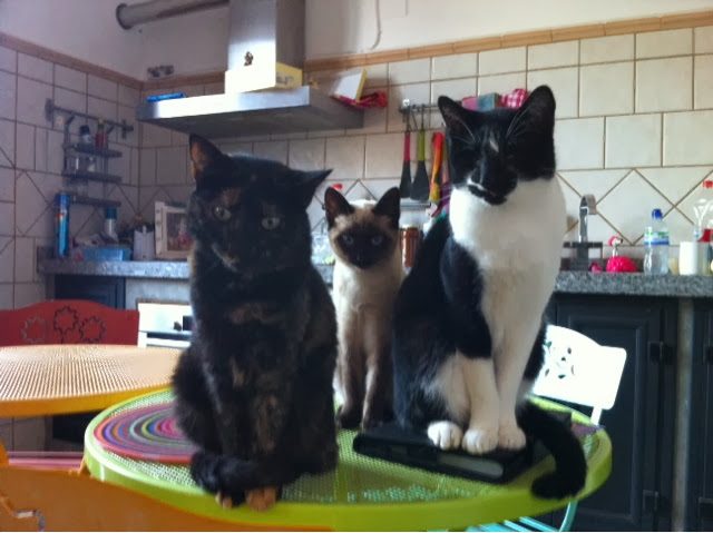 blogger-image-1461238564-4131541