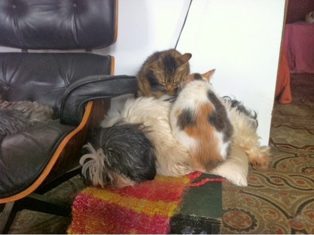 blogger-image-2014814856-1546325