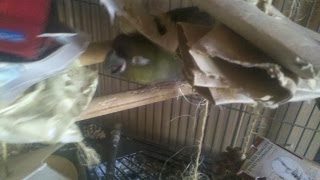 2013-12-2610-28-23-2448060