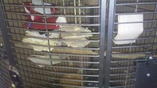 2013-12-2610-29-55-4957049