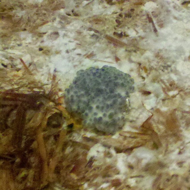 img_20131208_083331-8529457