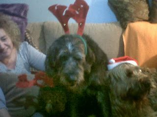 anne_christmas-3419392