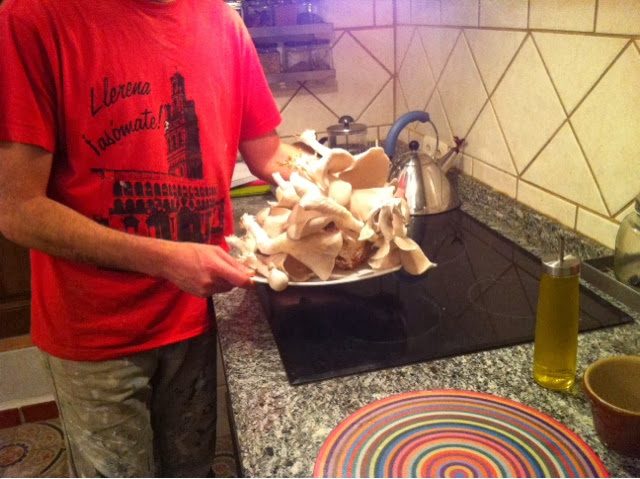 blogger-image-1280352611-7125747