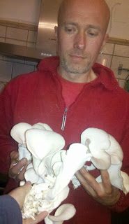 mushrooms-6150572
