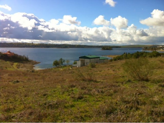 blogger-image-894624399-5116316