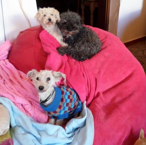 samsung-camera-pictures