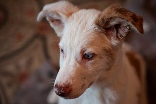 imgp4513_cropped-4126562