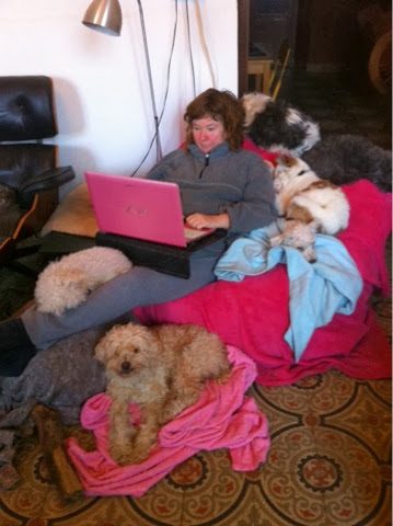 blogger-image-1573594-6416042