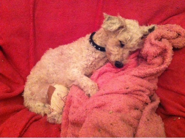 blogger-image-1818321499-1411798