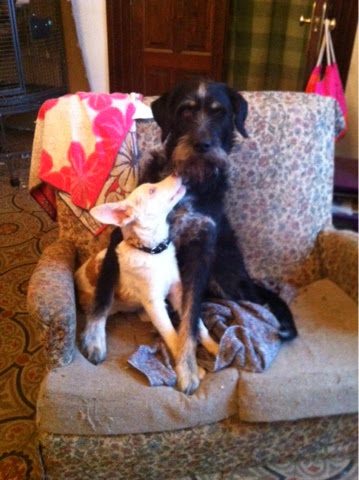 blogger-image-1943687090-3575671