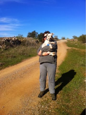 blogger-image-27891355-5658648