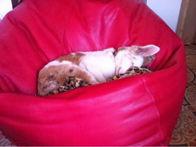 blogger-image-650675207-6889141