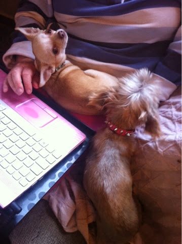 blogger-image-1449169356-3921028