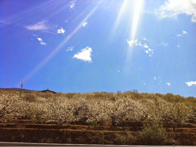 blogger-image-888239678-2613674