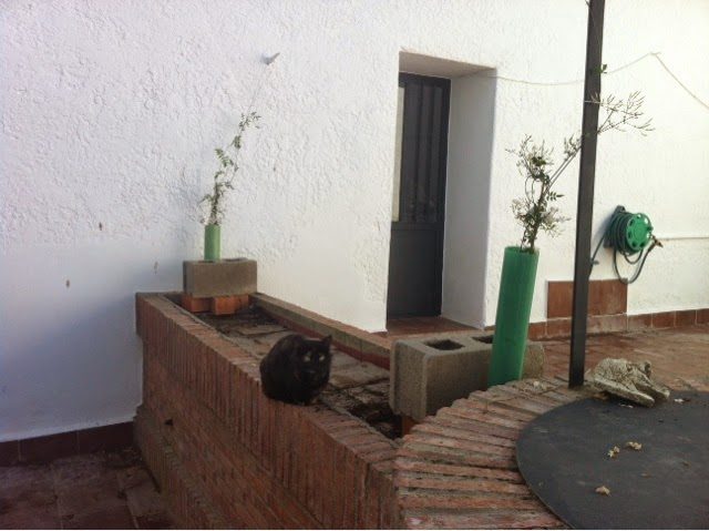 blogger-image-1146338601-2299841