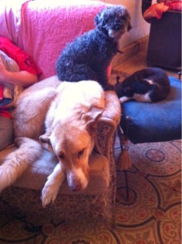 blogger-image-132250410-8307654