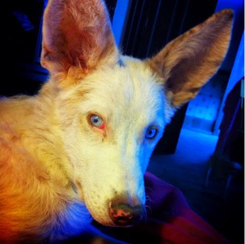 blogger-image-1546698581-9806280