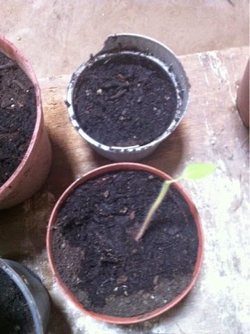 blogger-image-1903551397-4718009