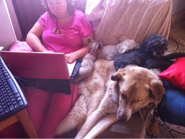 blogger-image-37595586-4067245