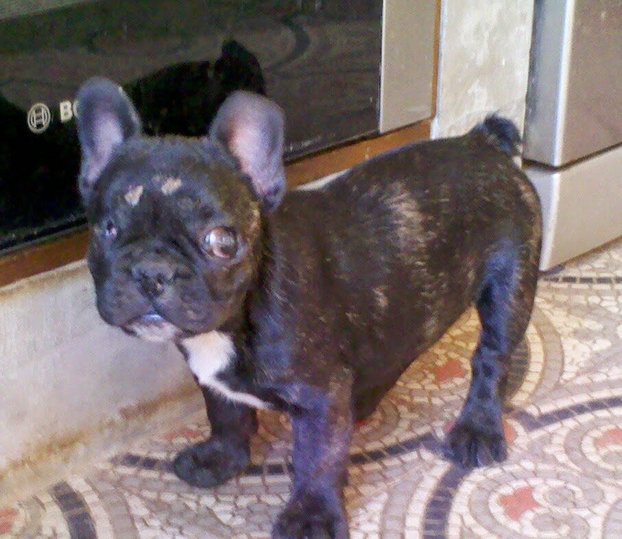 img_20140627_062623-7268658