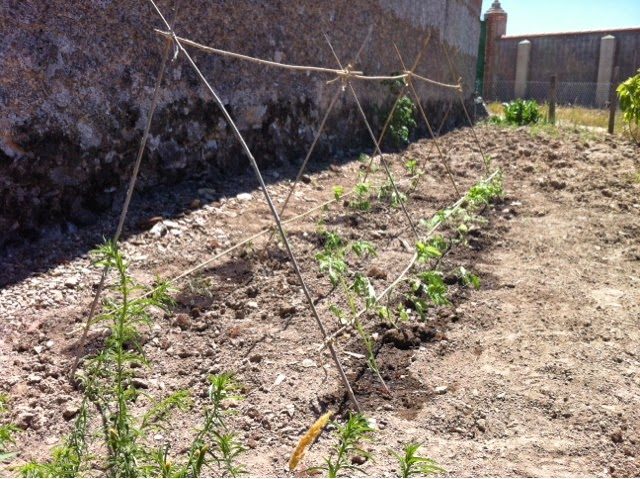 blogger-image-476017178-4166385