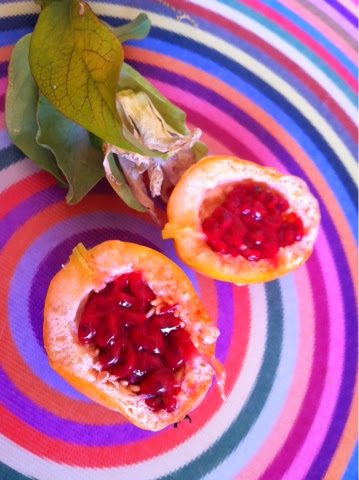 blogger-image-1152064900-4615999