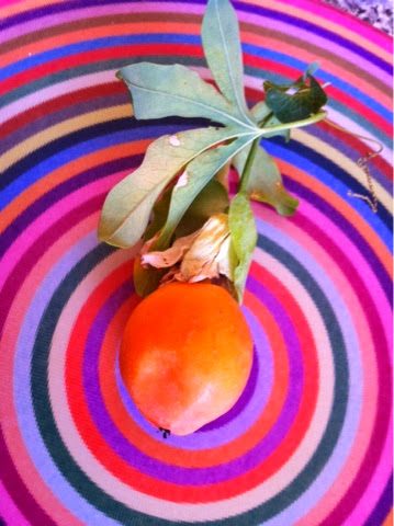 blogger-image-1906213979-5416386