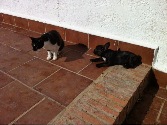 blogger-image-2053437253-6310192