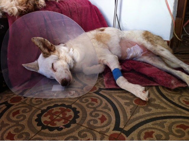 blogger-image-902465277-3114673