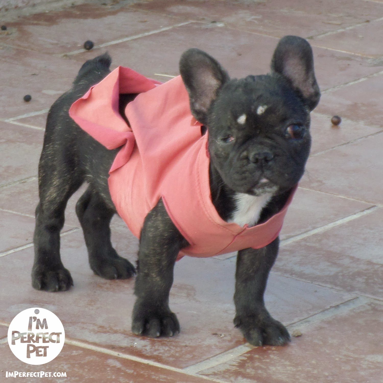 bobbins_tshirt-6637891