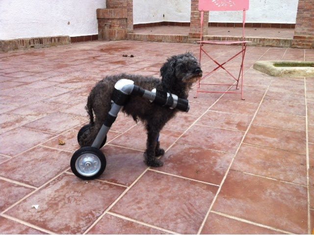 blogger-image-1358243541-9016463