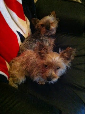 blogger-image-117920041-4543870