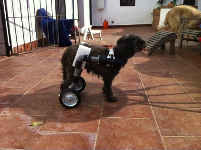 blogger-image-1975701986-8805745