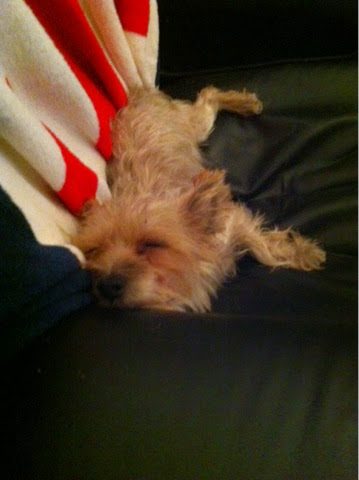 blogger-image-2043208292-1677846