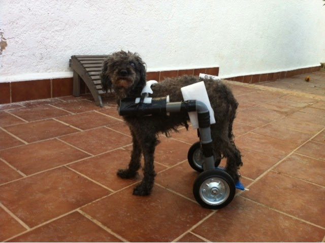 blogger-image-835117245-7330686