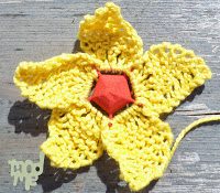 yellowflower-7104561