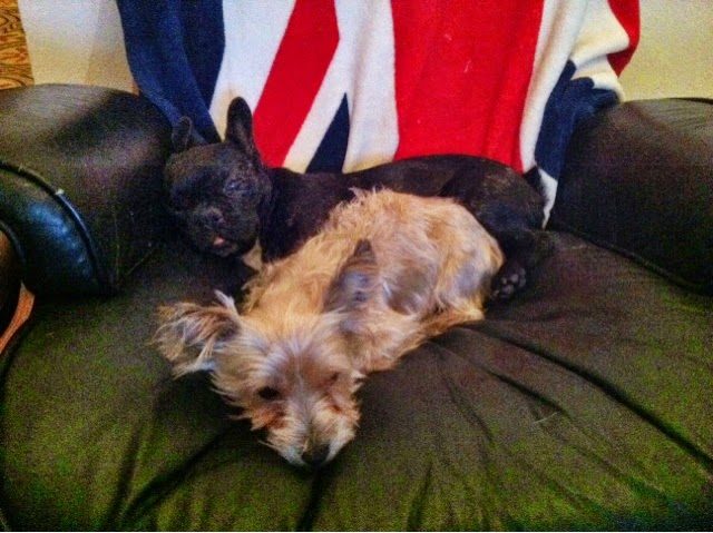 blogger-image-1280051013-3128449