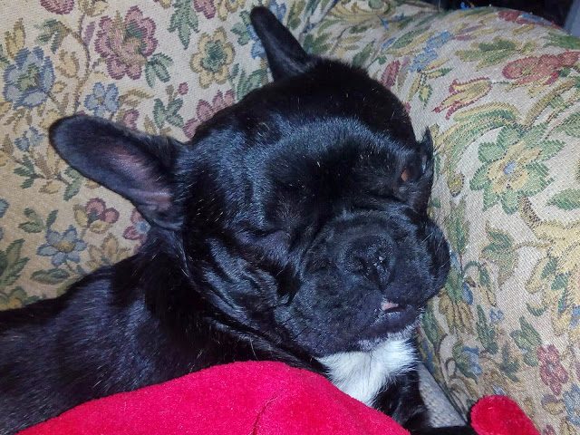 img_20150117_192910-7749312