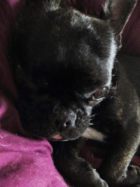 img_20150221_104750-9645477