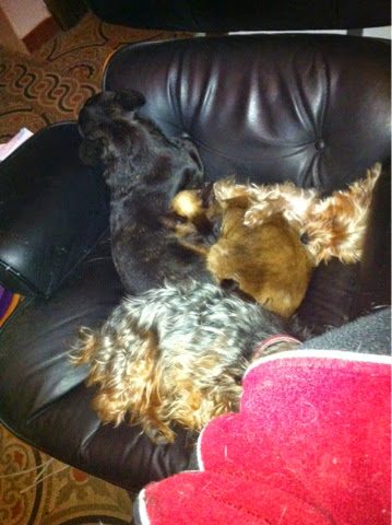 blogger-image-362754670-1284740