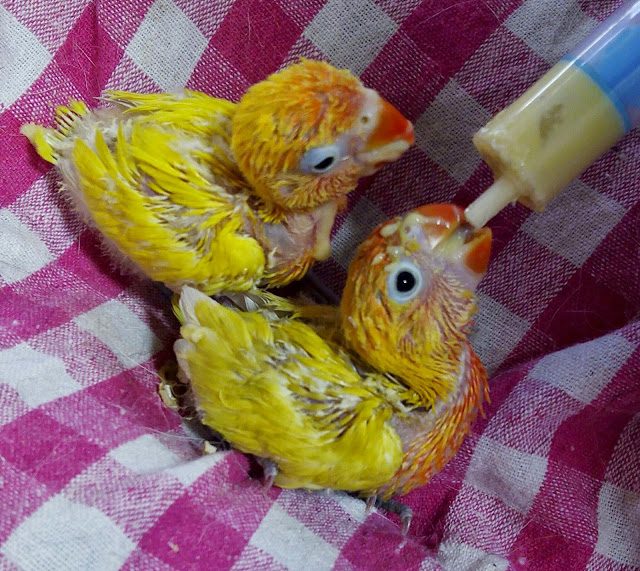 img_20150510_122708-3237896