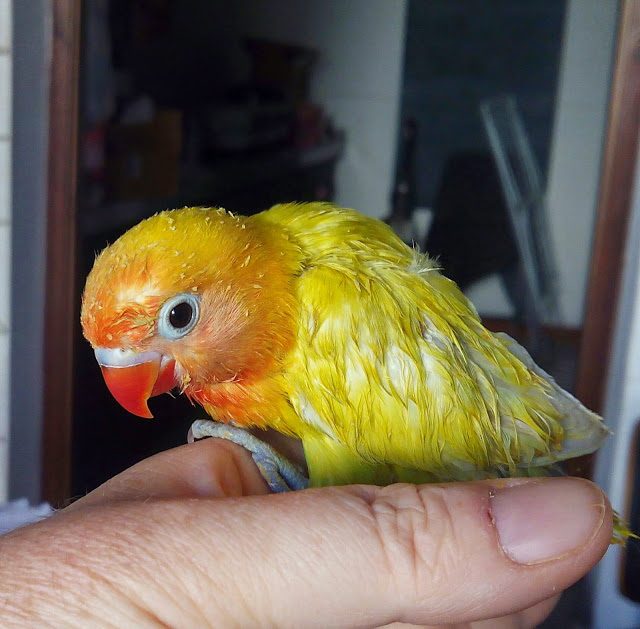 img_20150519_092114-9627866