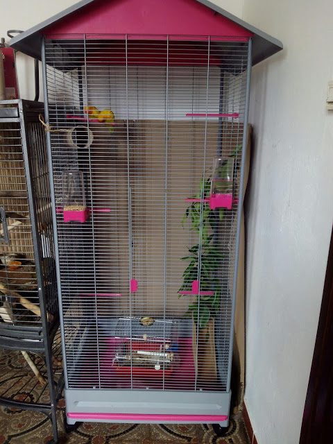 img_20150529_153554-9157103